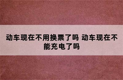 动车现在不用换票了吗 动车现在不能充电了吗